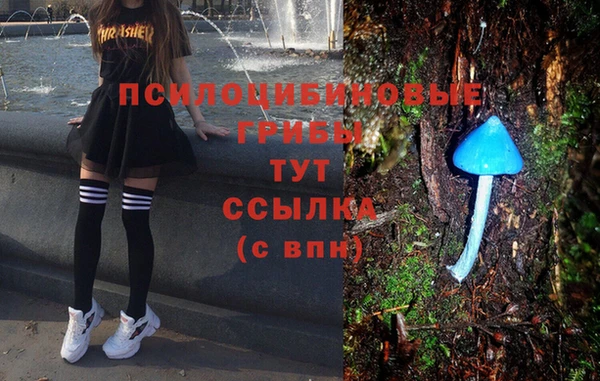 спайс Протвино