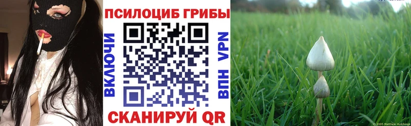 Галлюциногенные грибы GOLDEN TEACHER  Сенгилей 